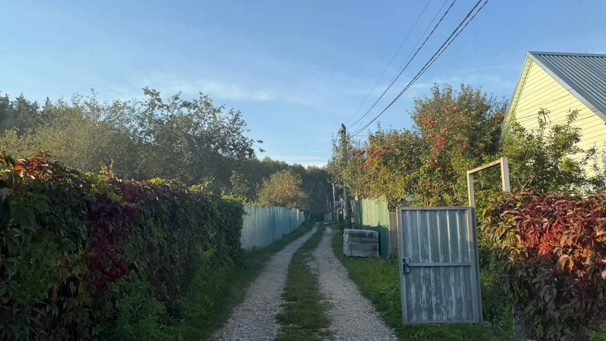 Ради мечты продал мерс, квартиру, бизнес - и с батей переехал в деревню: сводим концы с концами, зато довольны 