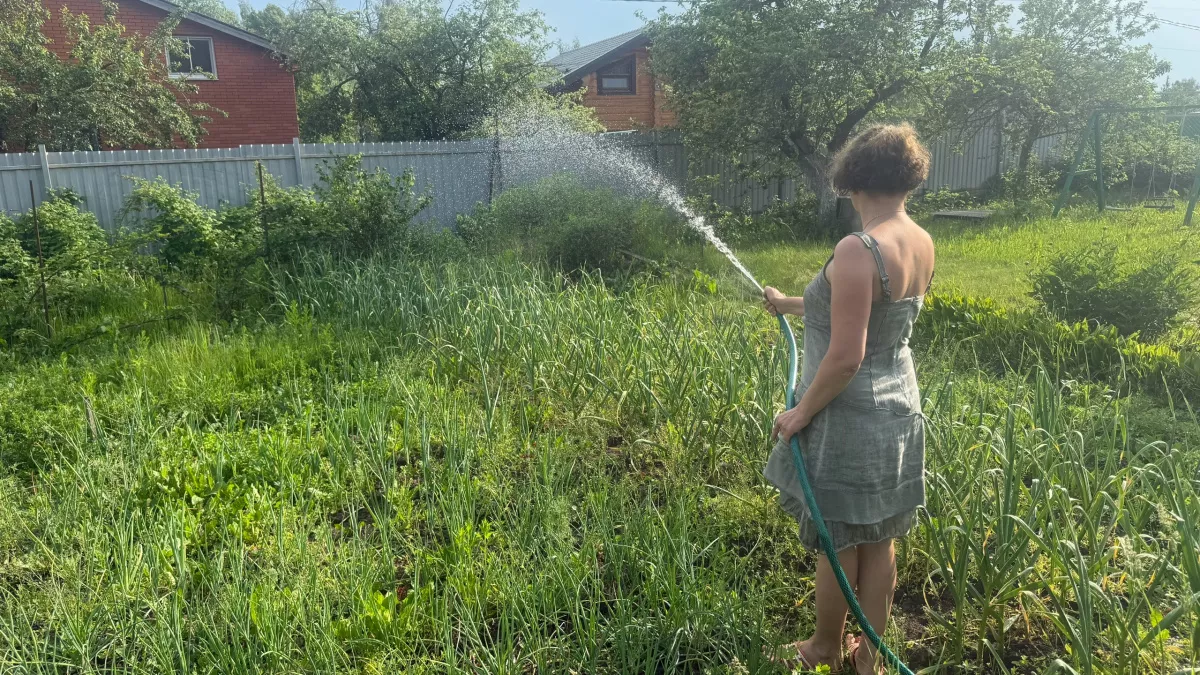 В Оренбургской области владельцам неиспользуемых сельхозземель повысят налог