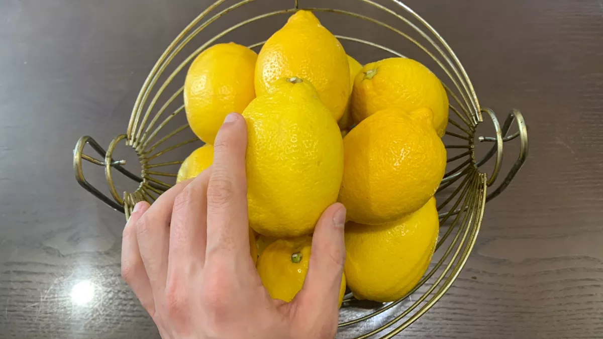 Лимонные корки заливаю чаем - и наслаждаюсь всю весну: бодрость прибавляет покруче кофе