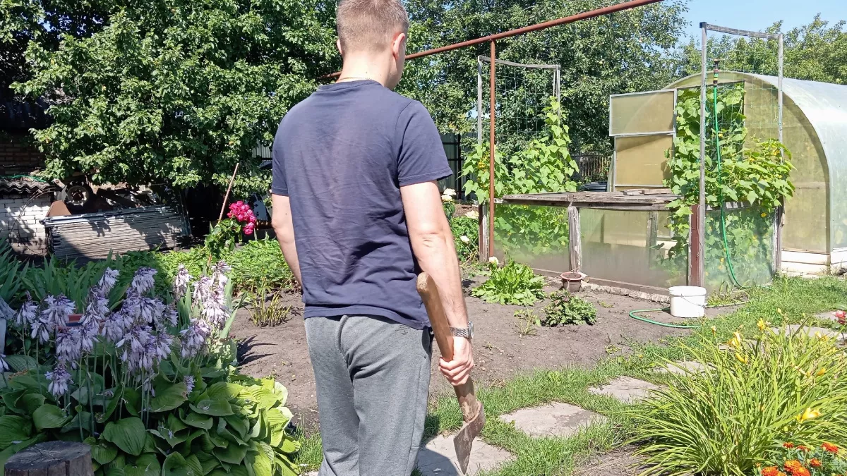 Сбежали из деревни в город: больше не смогли терпеть это от соседей. Что они делали утром, в обед и вечером 