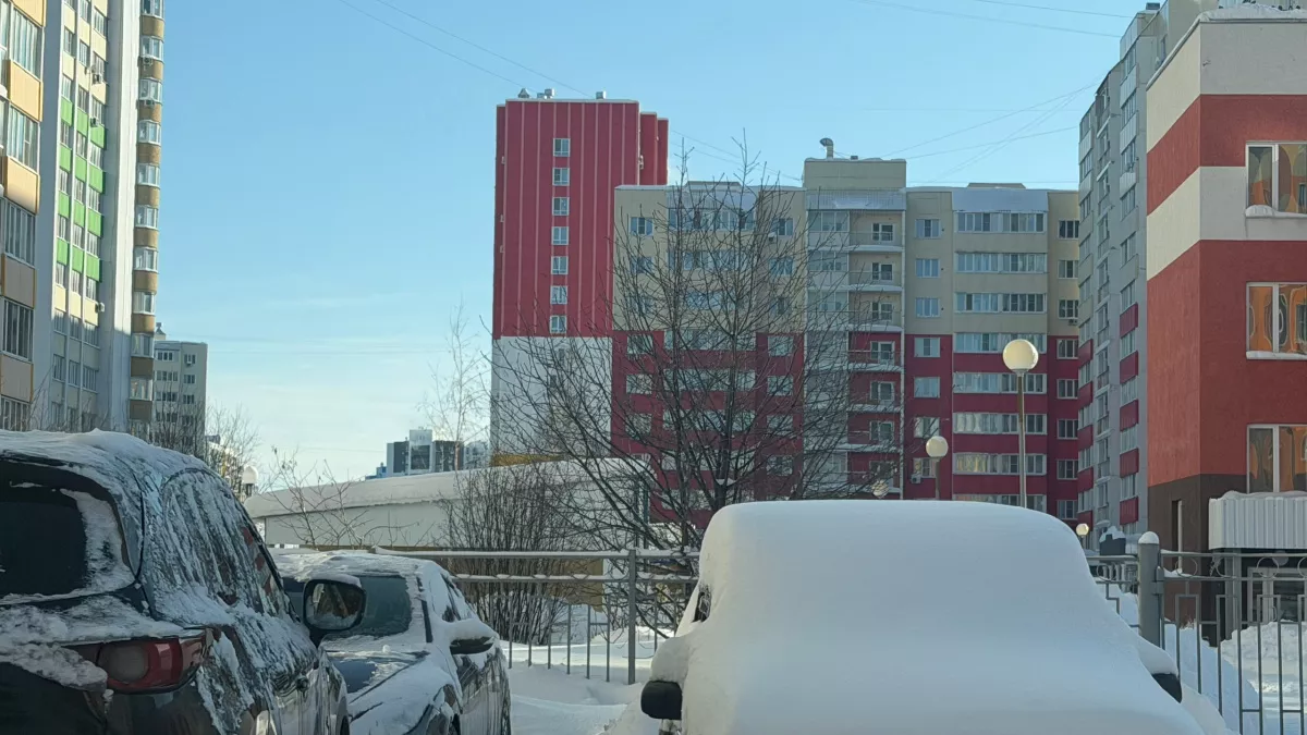 В Оренбургской области ночью ожидается мороз до −12 и туман