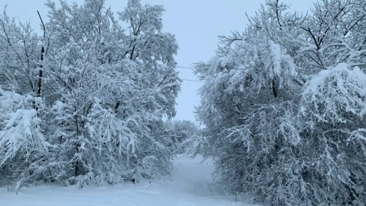 Туман, изморозь и гололедица. Какой будет погода в Оренбуржье 16 марта
