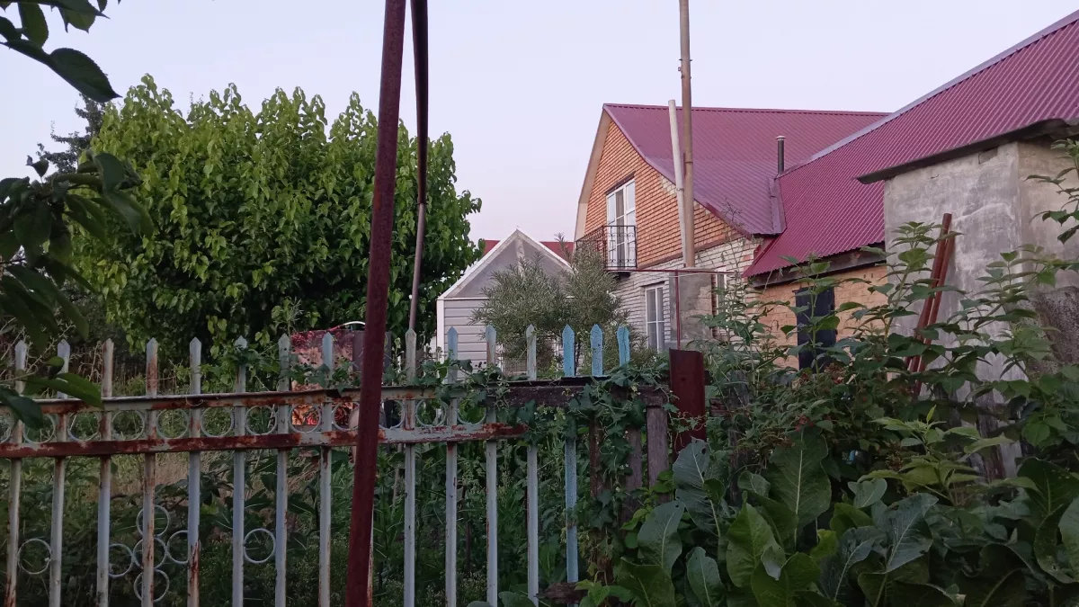 Бросили городскую жизнь и осели в деревне: через 4 года готова назвать 6 явных плюсов и всего 1 минус 