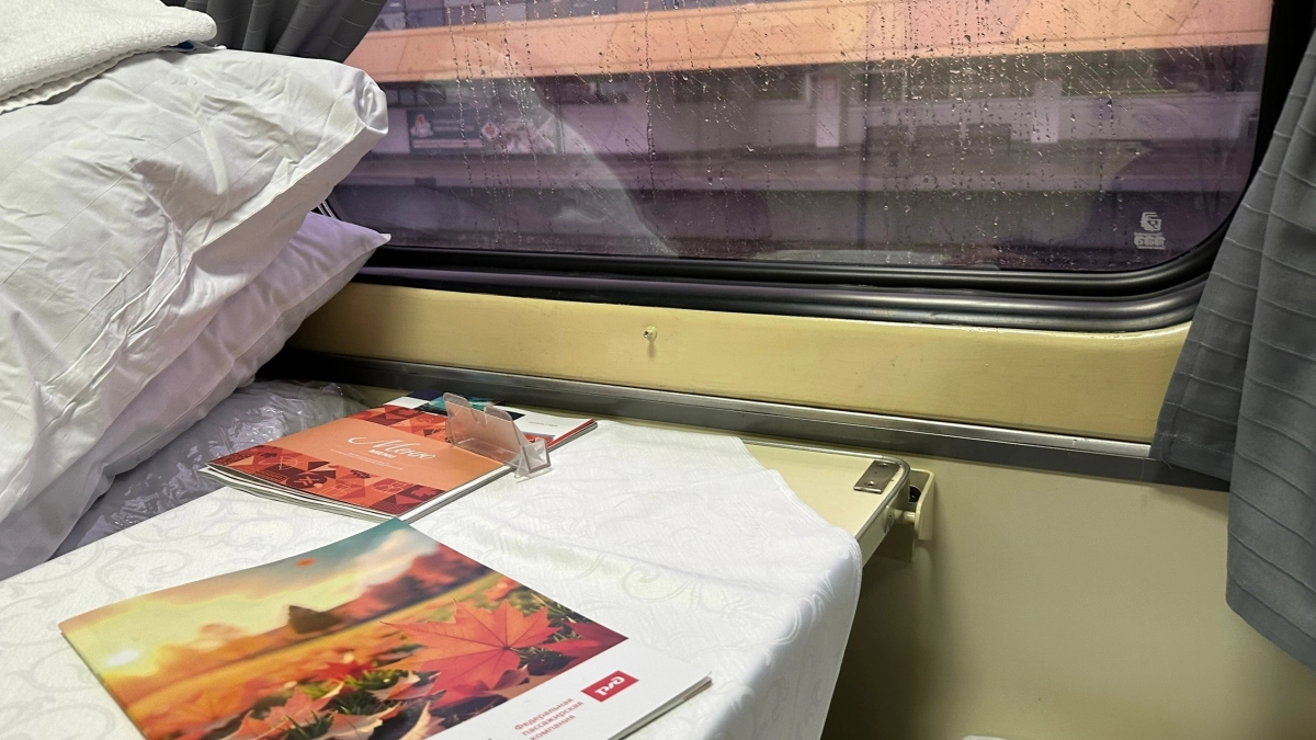 В поезде нет мест, но билеты все равно продают: в РЖД ввели новую опцию для пассажиров - как она будет работать