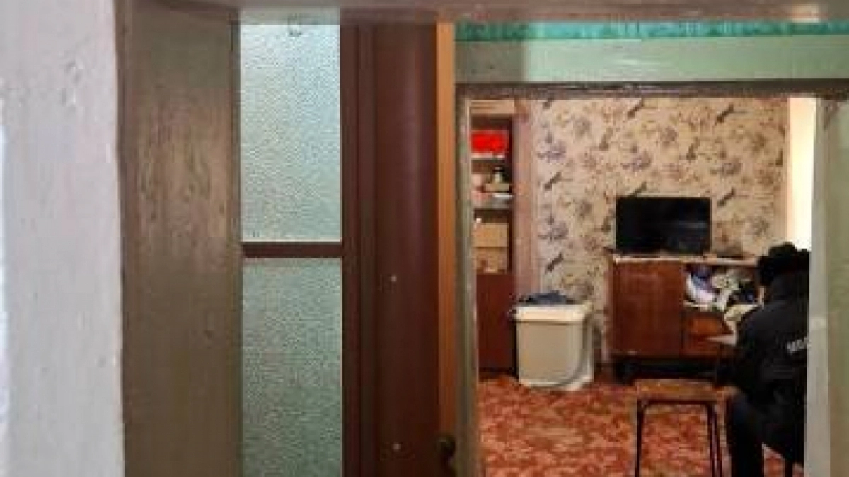 В Саракташе мужчина ударил сожительницу полкой для обуви и попал под следствие