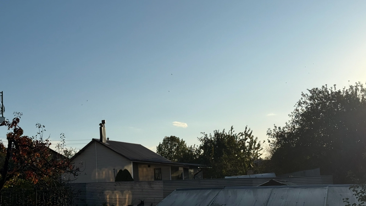 Отшельник 10 лет живет в заброшенной деревне в 400 км от Москвы: как он выживает без света, воды и дорог