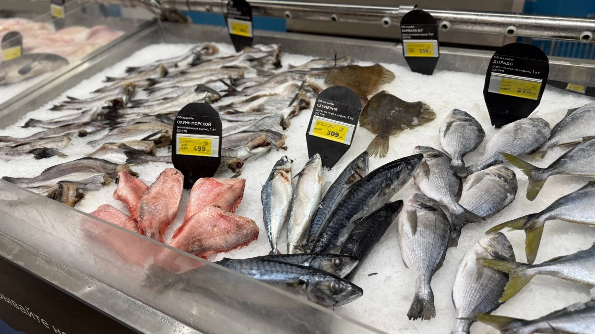 Даже кошкам давать нельзя: эксперты Росконтроля назвали самую опасную марку минтая 