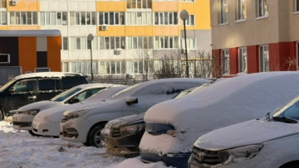 Землю под садоводство использовали как стоянку: прокуратура вмешалась в Орске