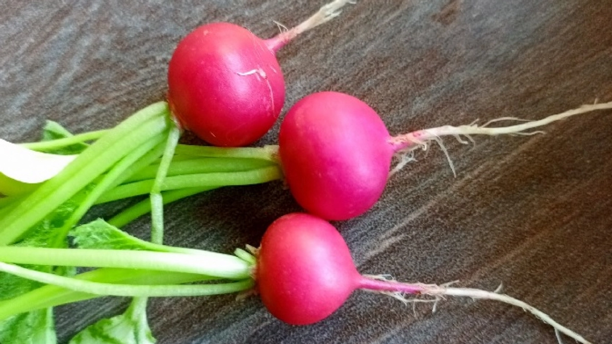 Не огурец и не баклажан: эксперты назвали самый полезный овощ - заменит даже рыбу в рационе 