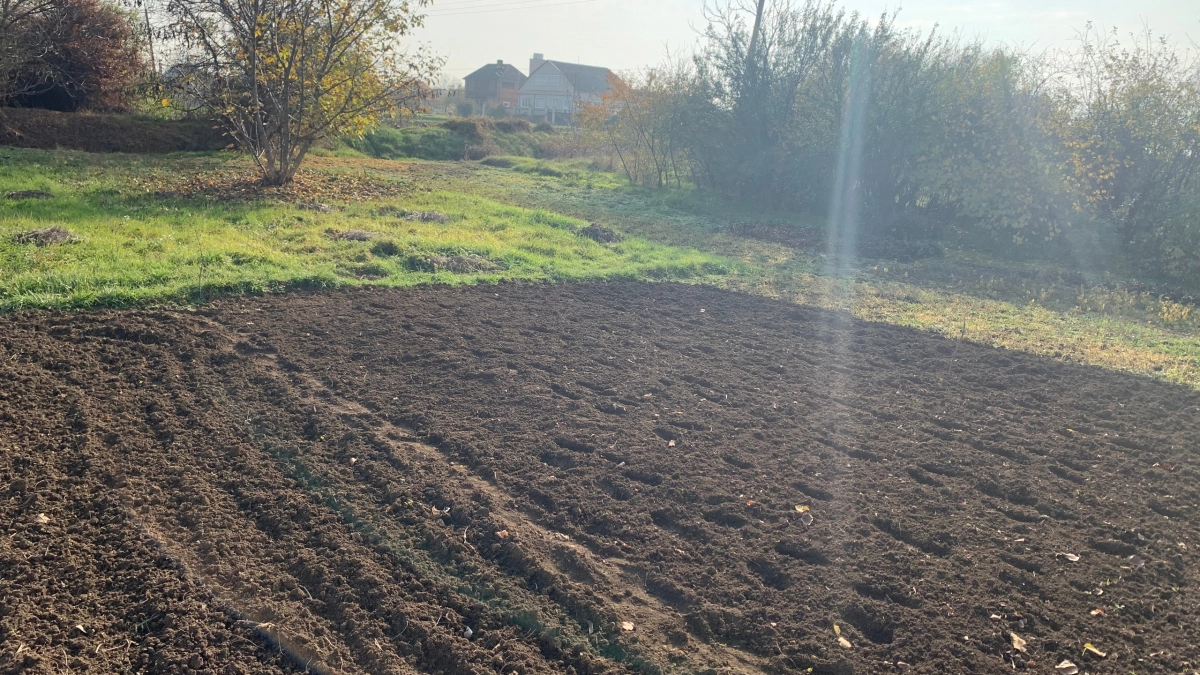 В Оренбуржье перед посевной заявили о дефиците кадров и росте затрат