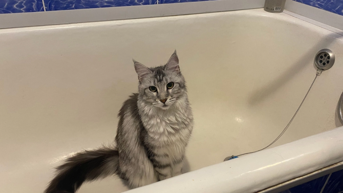 Разведите 50 грамм - и ванна засияет даже в темноте: избавилась от ржавчины и налета за 5 минут без какой-либо химии 