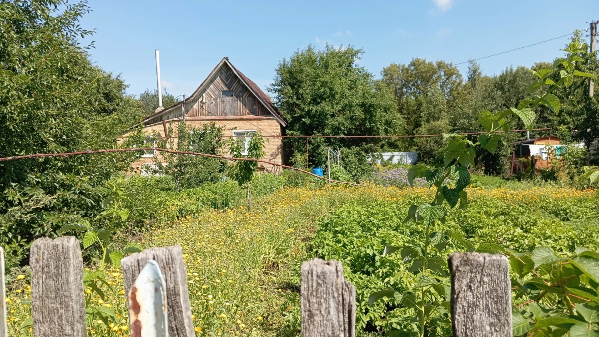 В глубинки России притаилась старинная деревня: проще добраться на лодке, чем по земле - как же там живут люди