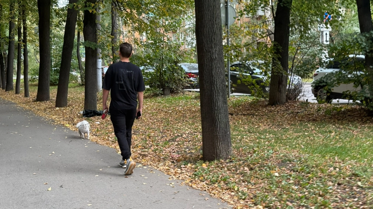 Беру только эти капли - и клещи больше не липнут к моей собаке: теперь можно спать спокойно 
