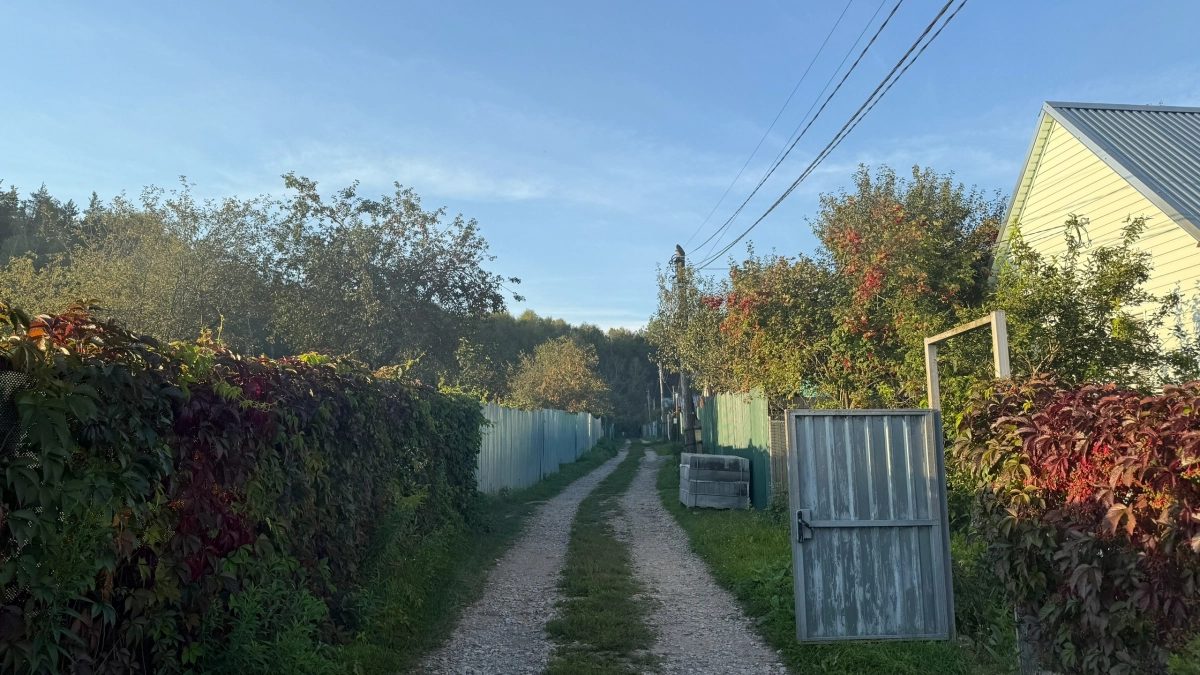 Банки и риелторы в шоке: вот почему зумеры массово скупают ветхие дома в селах и перестают брать ипотеку на 30 лет