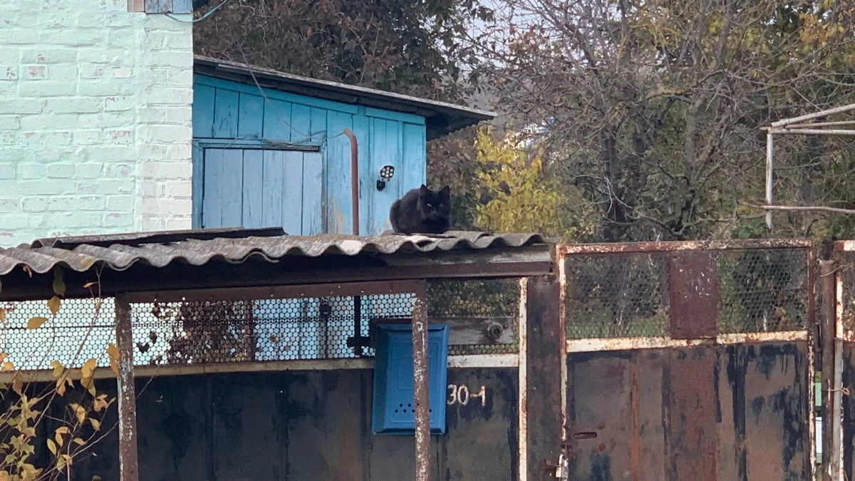 Родня всю жизнь смеялась, что я из деревни: а теперь плачут они - экономлю на продуктах покруче их. Рассказываю как это сделать 