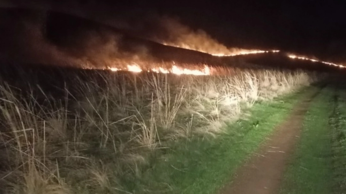 Под Оренбургом ночью потушили крупный ландшафтный пожар