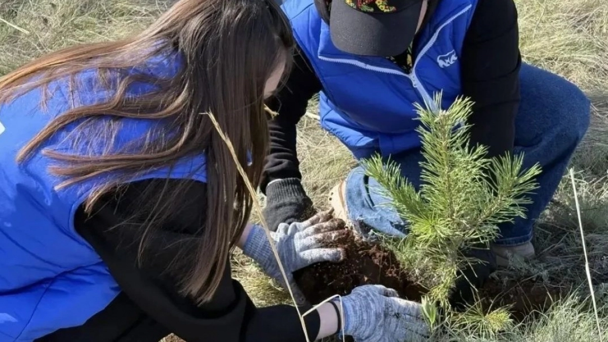 200 саженцев удалось высадить в оренбургском «Качкарском маре» во время субботника