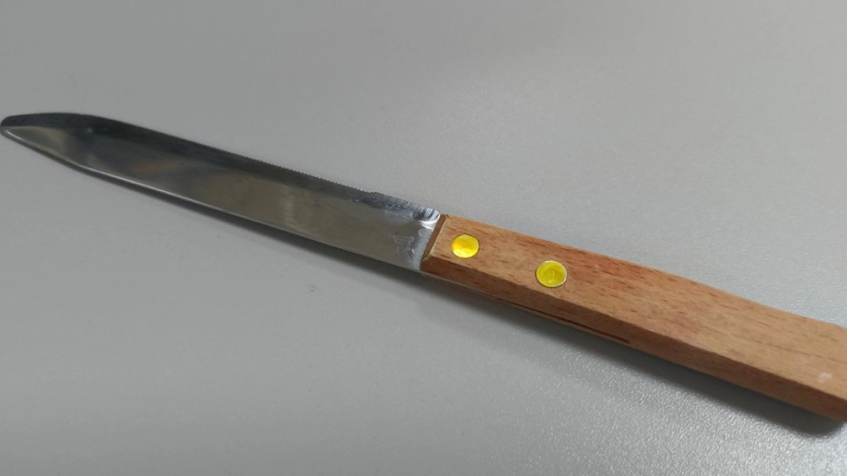 В Саракташе муж пригрозил убийством ножом собственной супруге