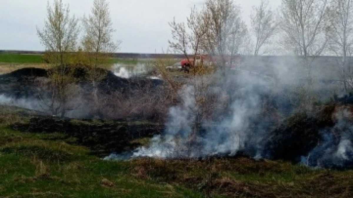 В Переволоцком районе потушили природный пожар