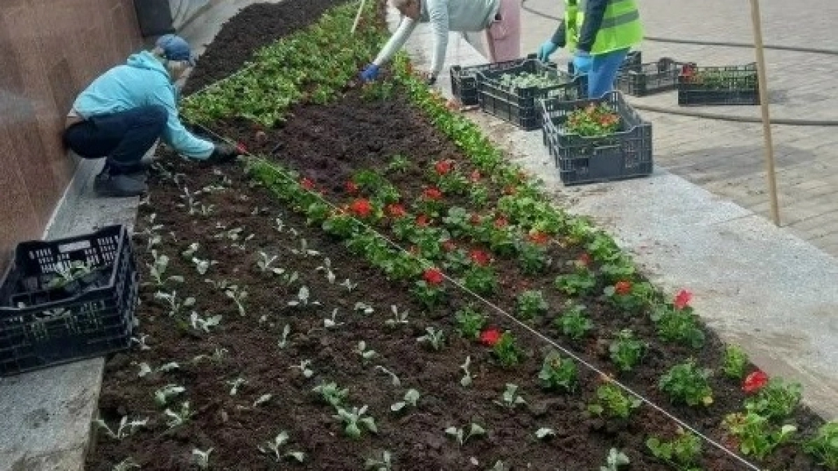 В Оренбурге на майские праздники высадили цветы и кустарники
