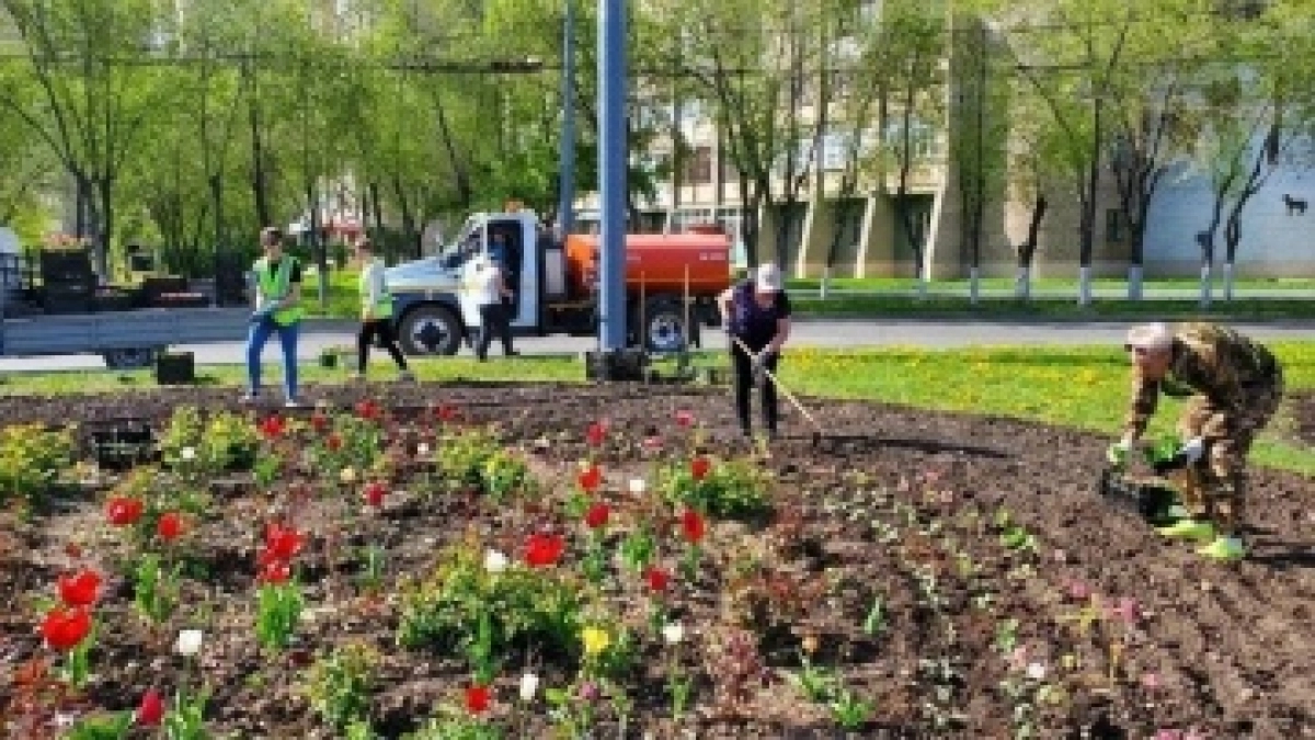 В Оренбурге высаживают цветы на городских клумбах