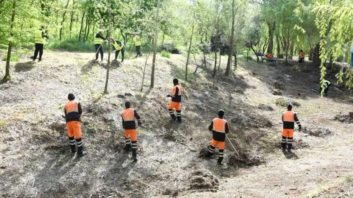 В Оренбурге участниками субботника в парке «Ивушка» стали более 200 человек
