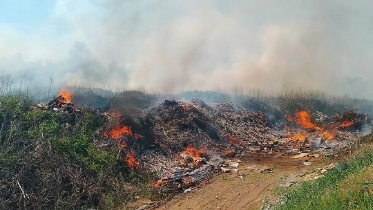 В Бузулукском районе сгорело 600 кв. м мусора