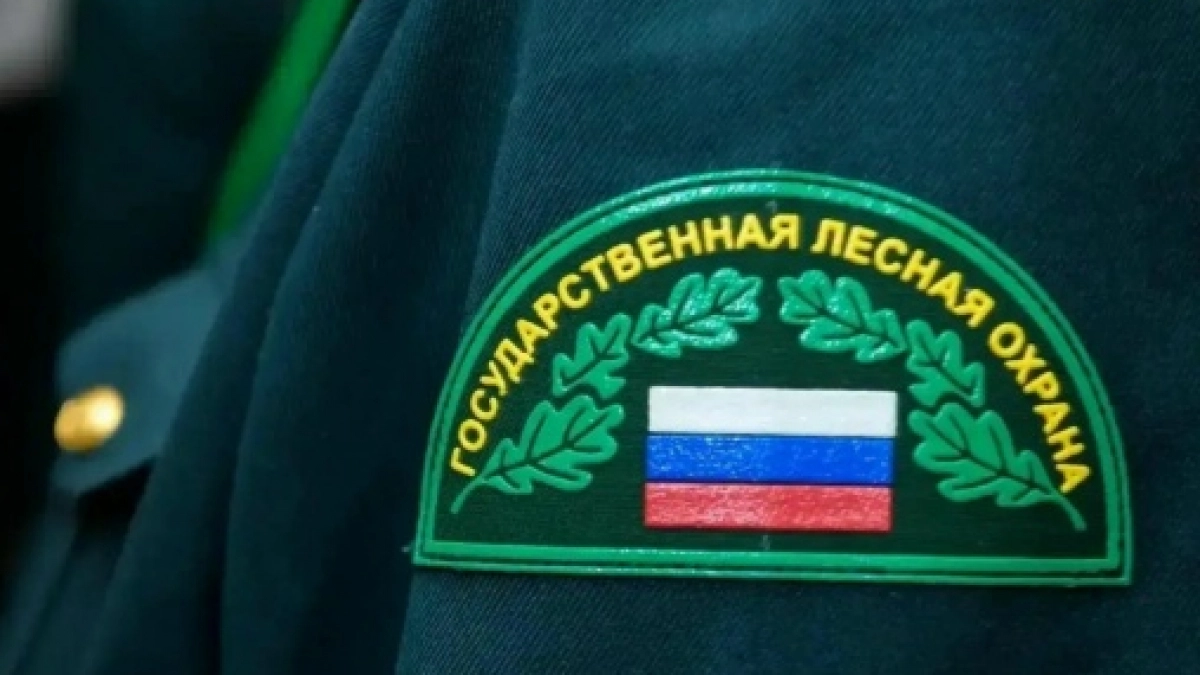 В лесах Оренбуржья продолжается пожароопасный сезон