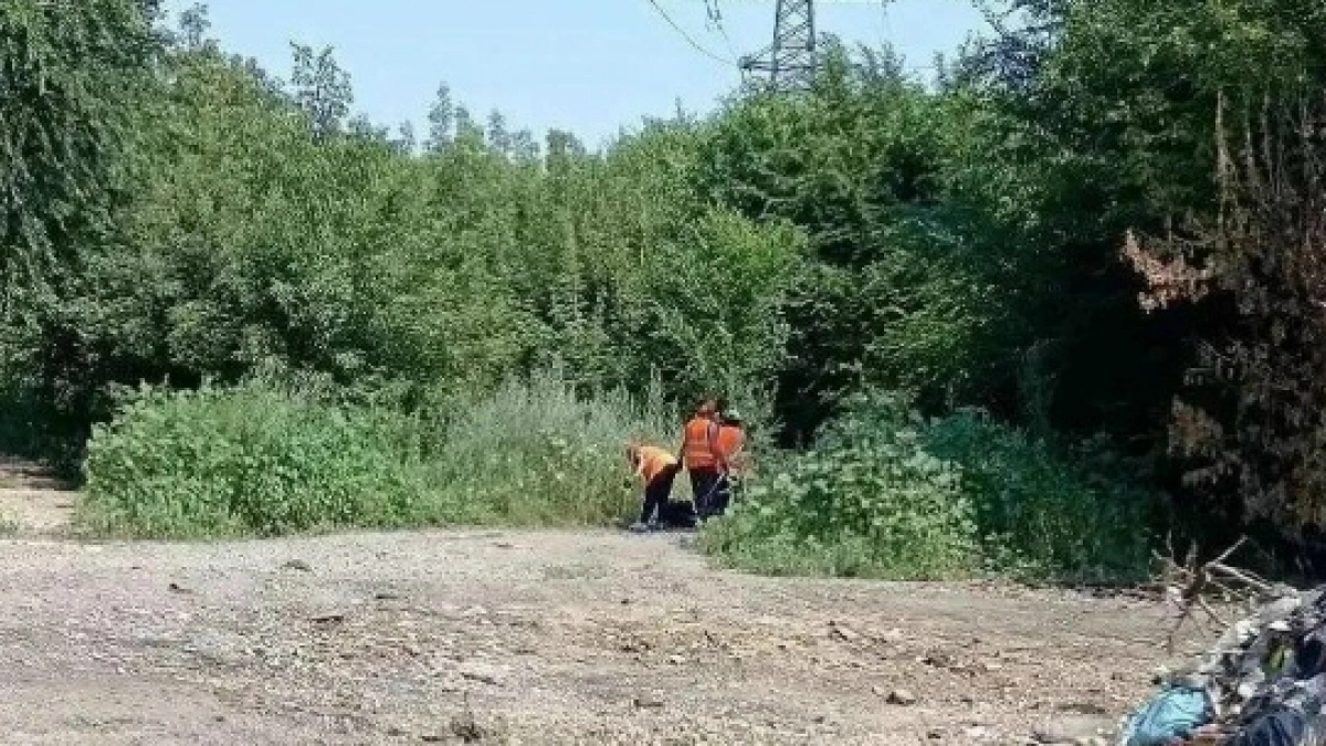 В Новотроицке продолжают вывозить около 2,5 тысячи тонн мусора ежемесячно
