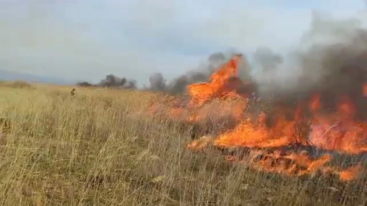 В Домбаровском районе ввели режим повышенной готовности из-за ландшафтного пожара