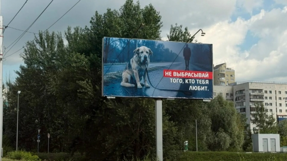 В Оренбурге стартовала социальная кампания против отказа от домашних животных