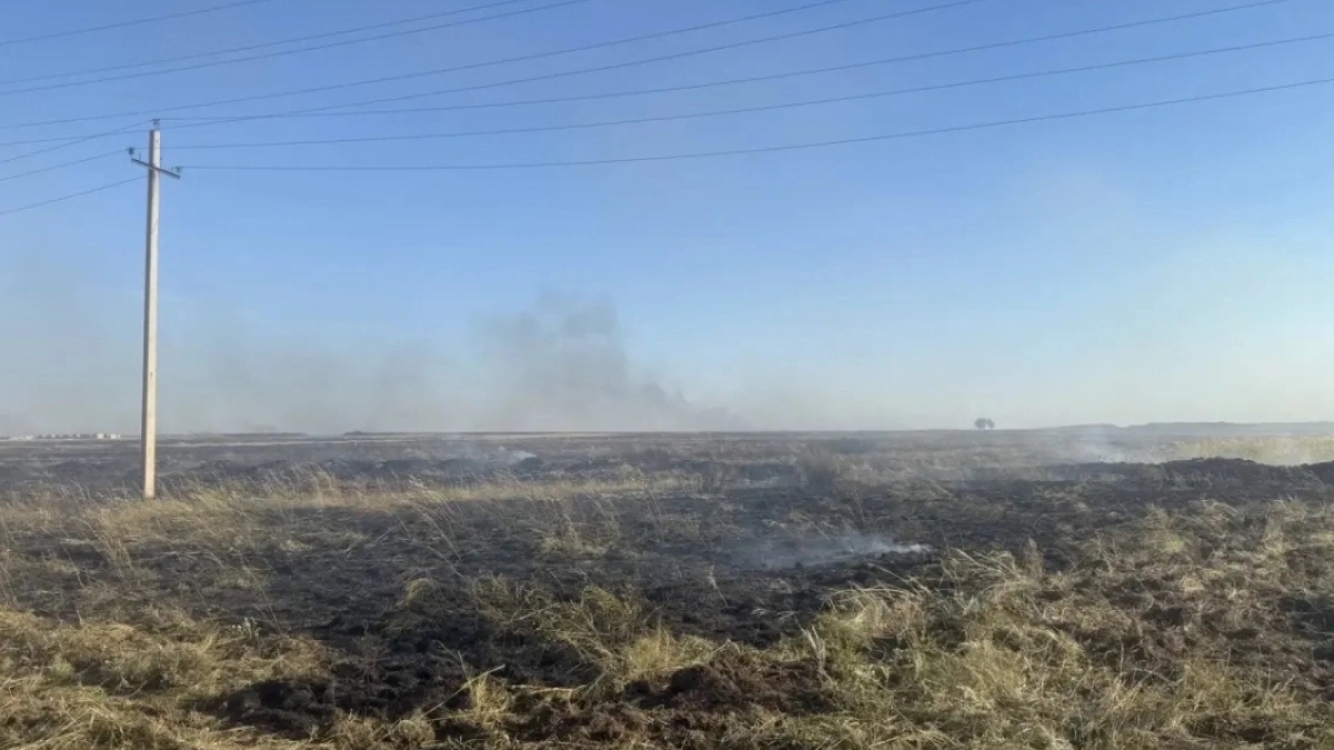 В Адамовском районе более 40 человек участвовали в ликвидации ландшафтного пожара
