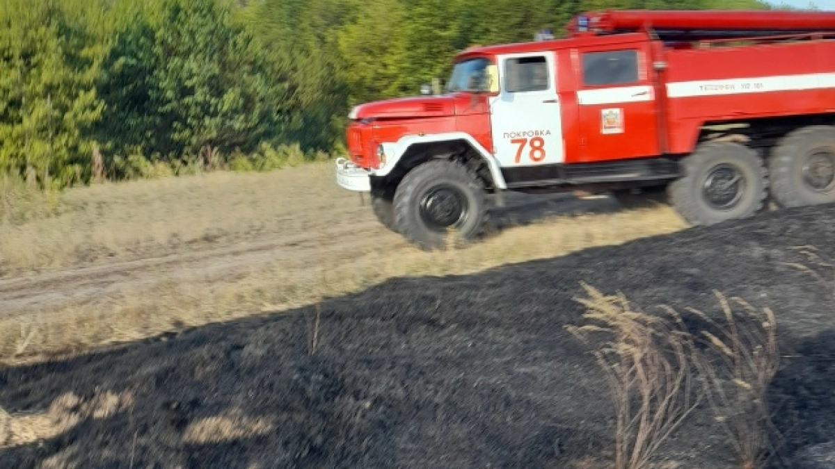 В Новосергиевском районе потушили степной пожар у села Покровка