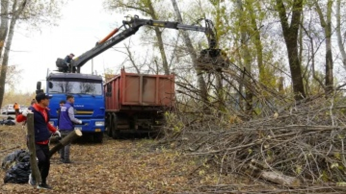 В Оренбурге более 200 человек вышли на окружной субботник