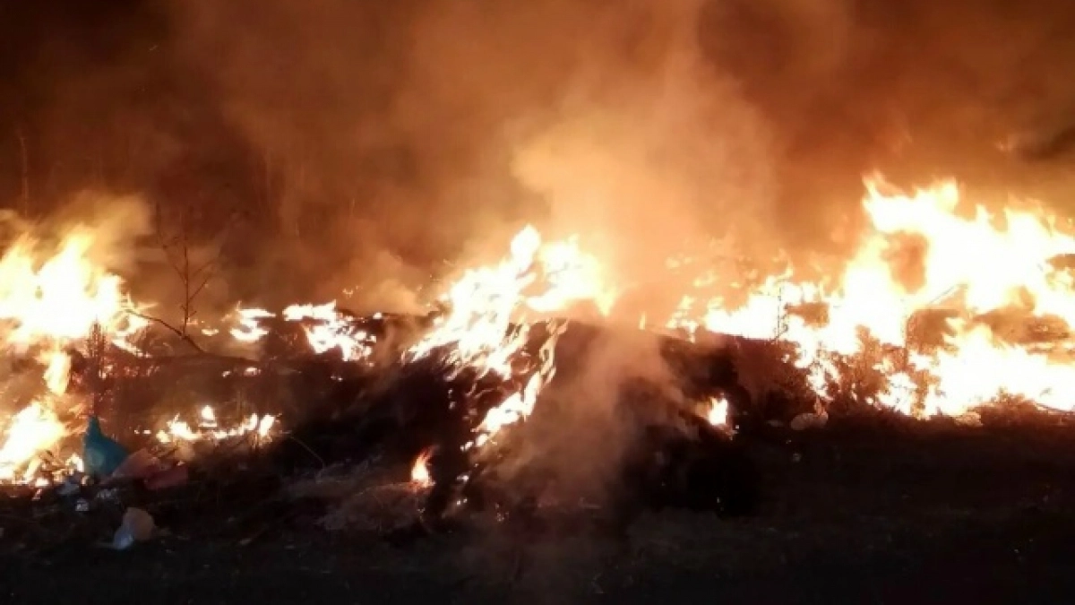 В Гайском округе произошел ландшафтный пожар на площади одного гектара