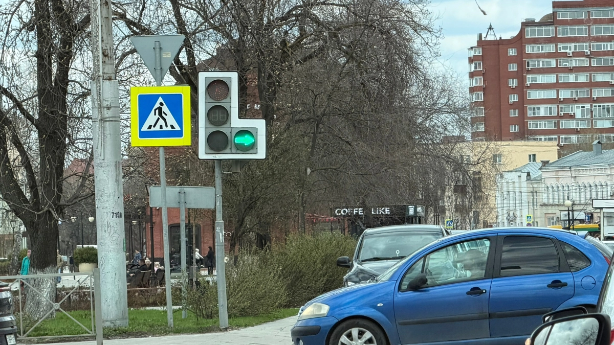 В Оренбурге водитель сбил собаку и скрылся с места происшествия