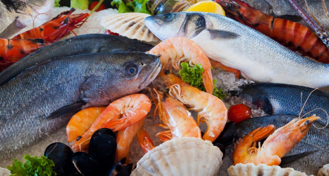Ученые назвали самые полезные морепродукты: не креветки, не кальмары и втрое полезнее устриц
