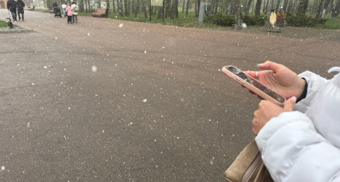 Какое лето предвещает погода в первый день мая - эта народная примета всегда сбывалась 