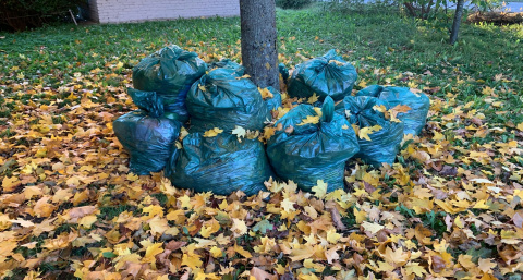 В городах Оренбургской области в минувшие выходные прошли субботники