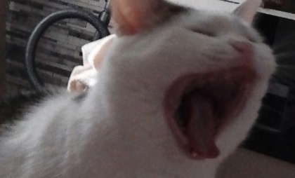 Оренбуржцу, заплатившему много денег, вместо золотой цепи прислали велосипедную