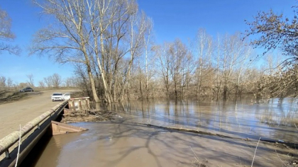Реки Оренбургской области показали разнонаправленную динамику уровней воды
