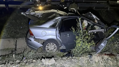 В Орске столкновение автомобиля с лошадью привело к гибели двух человек